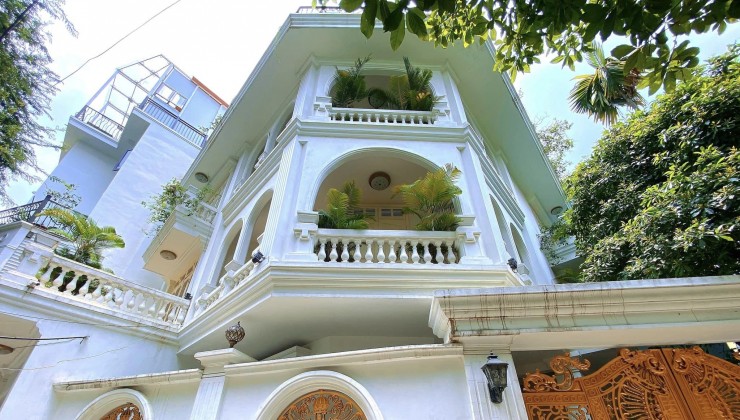 Biệt thự Cầu Giấy, lô Góc thang máy 5tầng, 163m, 41 Tỷ